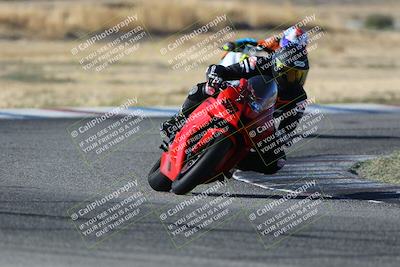 media/Oct-29-2023-Carters at The Track (Sun) [[b2bb4383ab]]/B Plus/1020am (Sunrise)/